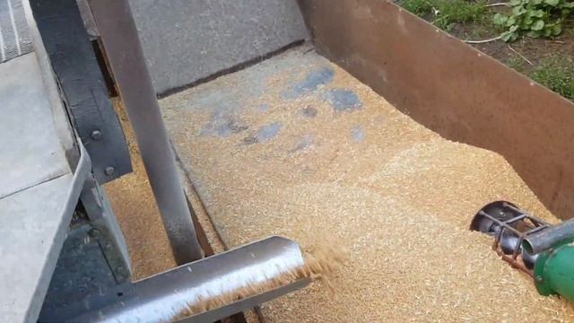 "Трясучка" - самодельная веялка для подготовки посевмата пшеницы. смотреть онлайн