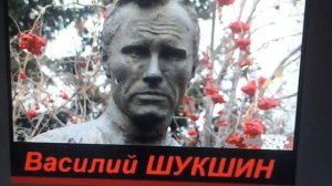 В. Шукшин Критики. краткий пересказ