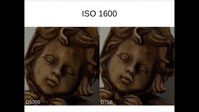 D5300 vs D750 - DX vs. FX High ISO performance смотреть онлайн