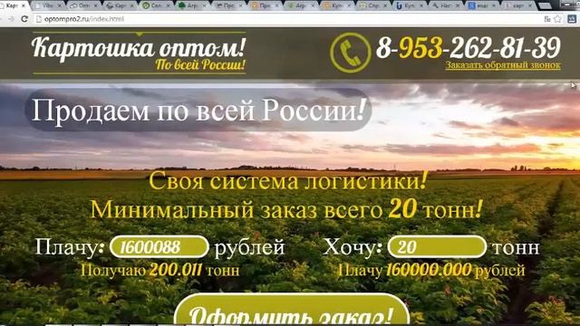 Видео-обзор одностраничников по картофелю в оптовом бизнесе смотреть онлайн