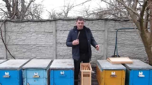 Пчелопакеты от момента покупки до основного медосбора. Развитие, обработка клеща. смотреть онлайн