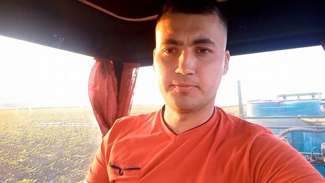 Фунгицидная обработка подсолнечника. Обзор раскладки семян. смотреть онлайн