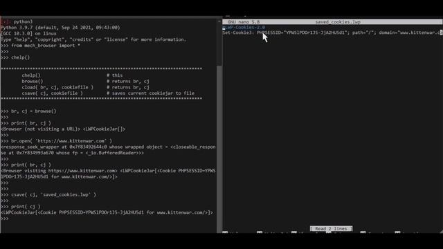 python3 mechanize how to modify cookie simple смотреть онлайн