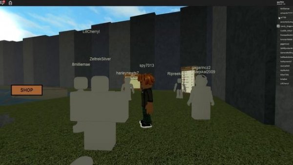 Roblox (Multi-games)