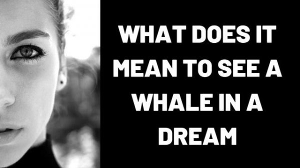 What Does It Mean to See a Whale in a Dream?