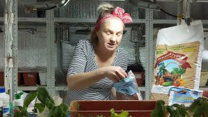 Как вырастить крепкую рассаду с нуля! Сажаем рассаду с кормилицей-микоризой!
