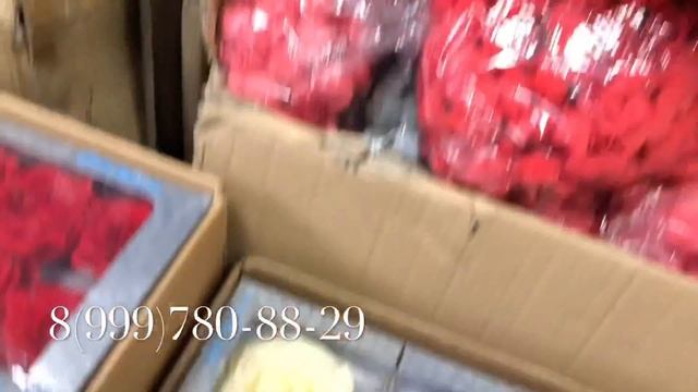 Стабилизированные розы. Розы в колбе. Цветы Оптом смотреть онлайн