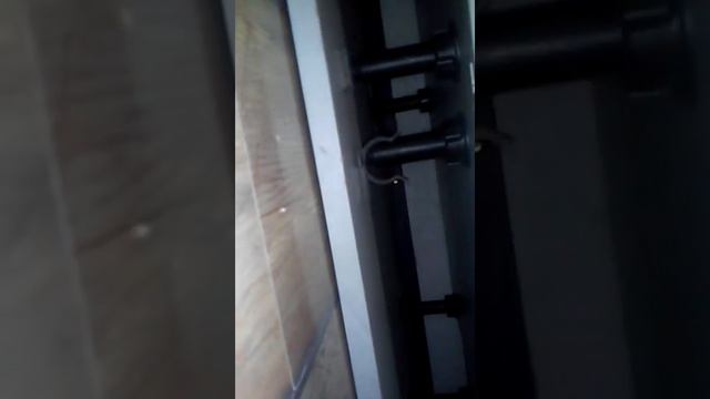 Потерялся хомячок что делать? Помогите((((( смотреть онлайн