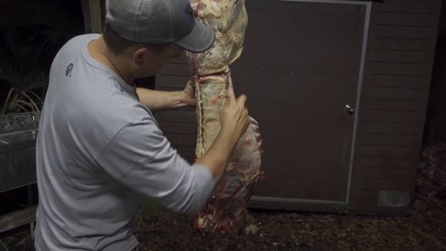 beginners guide to cleaning and quartering a wild pig смотреть онлайн