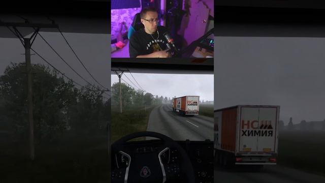 Уснул на обгоне #ликс #ets2 #eurotrucksimulator2 смотреть онлайн