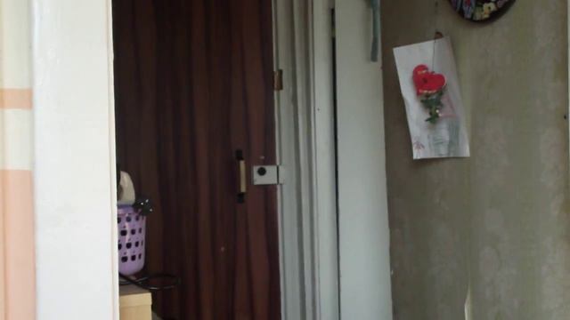 2014_04 - кот Миша гоняется за солнечным зайчиком смотреть онлайн