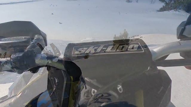 17 октября 2021 года Риддер район Прохдного Белка смотреть онлайн