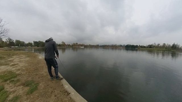 Attacked by Birds, Looking for My First Catch for 2019 смотреть онлайн