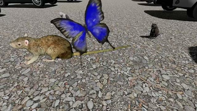 😺CAT GAMES l Game for cats Mix Mouse butterfly bird | CAT TV | 1hours #cat #cats #catgames смотреть онлайн