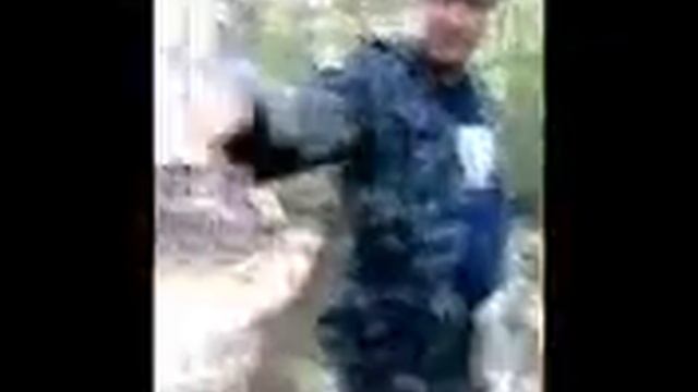 Укротитель Красной Шапочки).mp4 смотреть онлайн