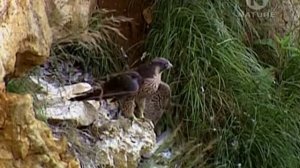 Неизведанная Европа  Лето