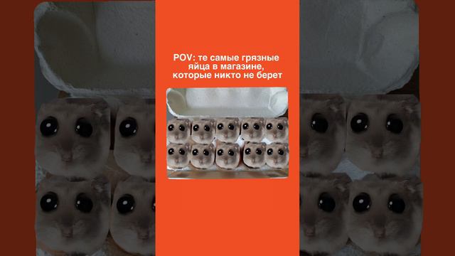 POV: те самые грязные яйца в магазине, которые никто не берет смотреть онлайн