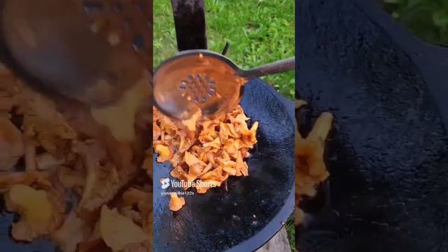 Драники, лисички и бекон смотреть онлайн