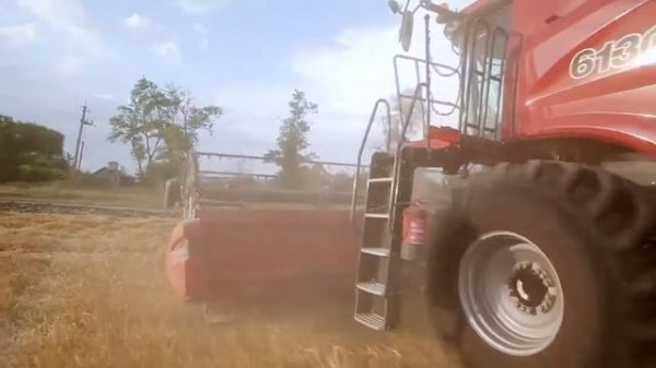 Case IH Новые комбайны Case IH Axial Flow на полях ГК Альтаир