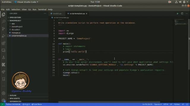 How to write django standalone Scripts. смотреть онлайн