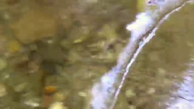 27_09_2014_ПОХОД К ВОДОПАДУ на р. АЖЕК_N-1.mp4 смотреть онлайн