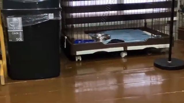 diaxdiary dear diary 2 | unboxing cute bags, film camera kodak ektar 35, skincare haul смотреть онлайн