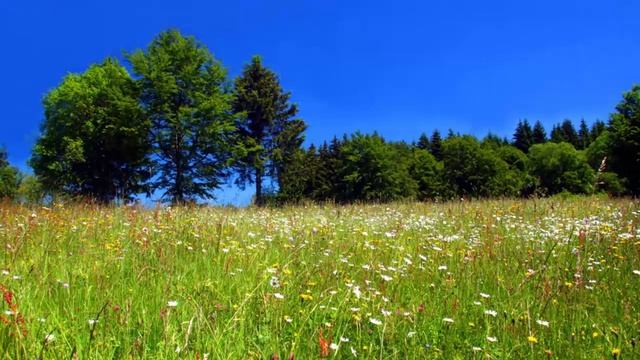 Никакие предосторожности не помогут. Преподобный Никон Оптинский. смотреть онлайн
