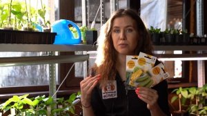 Когда и как сеем кабачки и тыкву на рассаду  + Об участие в конкурсе огородников