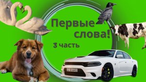 Запуск речи - Первые слова малыша - Учимся говорить. 3 Часть