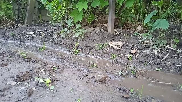 Урал 4320 по паханые грядки смотреть онлайн