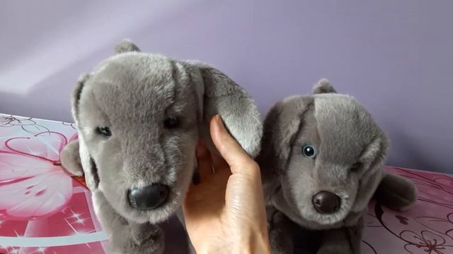 Comparing Cassie and Hans the Weimaraner Plush Dogs by Douglas Cuddle Toys 💕 смотреть онлайн