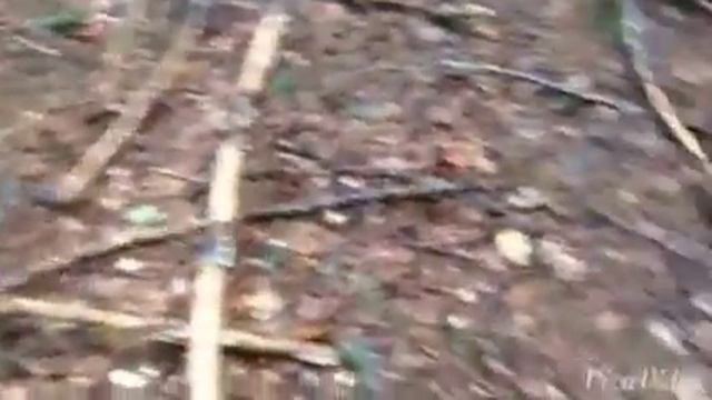 Impressioni di settembre смотреть онлайн