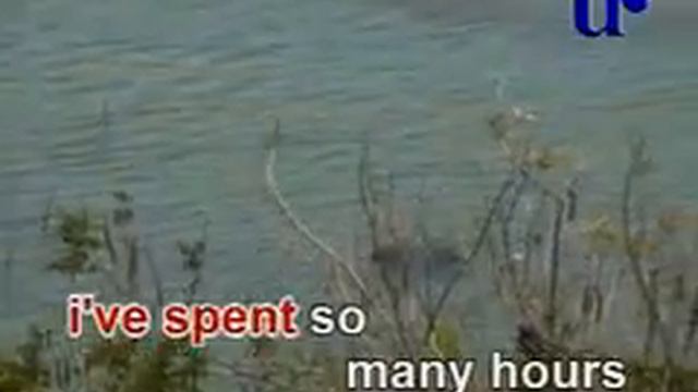 Will Of The Wind Video Karaoke (Universal Records) смотреть онлайн