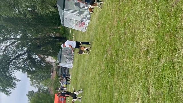 Саратовская обл., выставка ос. РПГ все группы. 27.05.2023 г. смотреть онлайн