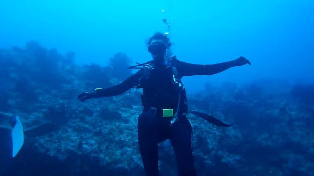 Dhigurah, Maldives смотреть онлайн