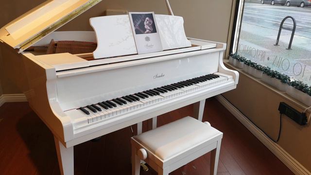 Self Playing Piano Irmler Model F160 (Turkish March) смотреть онлайн