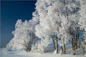 СИНЕЙ ИНЕЙ.  ВИА ГОЛУБЫЕ ГИТАРЫ.