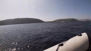 Плаваю на лодке по Волге в районе Самарской луки. Птичий базар. Лето 2021.