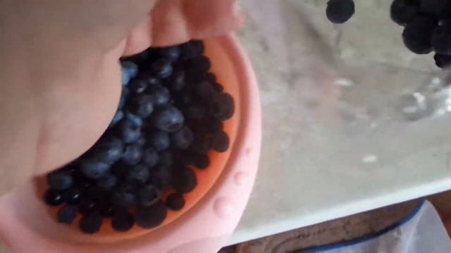 Чем черника отличается от голубики смотреть онлайн