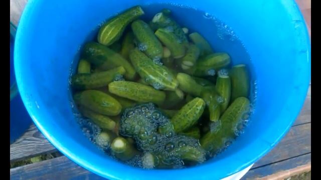 Научные Эксперименты