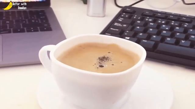 Secret World of funny stuff - BEST Compilation by Fran.solo - Part 3 смотреть онлайн