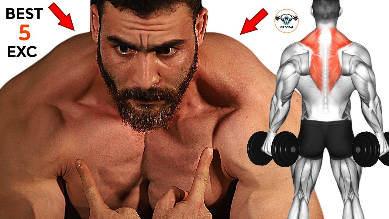 Узнайте, как нарастить трапециевидную мышцу большего размера смотреть онлайн