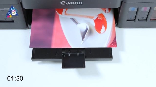 Canon PIXMA G1400: тест на скорость печати фото А4 смотреть онлайн