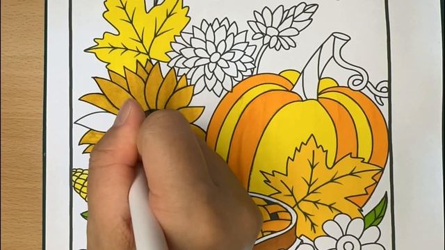 【Coloring Page】Dazzling Country Autumn Coloring Book by Debra Davis смотреть онлайн