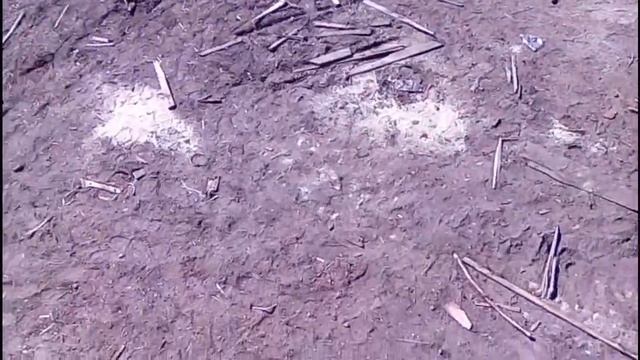 Какой горбыль у нас на лесопилке и какой купить горбыль? Заберу срезку с 50 ки домой на дрова смотреть онлайн