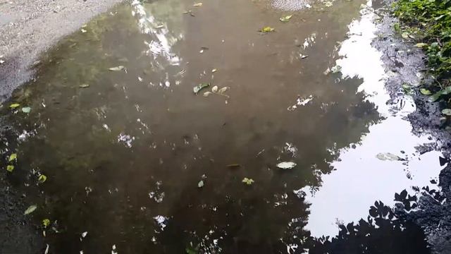 Отражение в луже смотреть онлайн