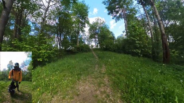 ?? Птичий парк в Домбровке, май 2023 год! смотреть онлайн