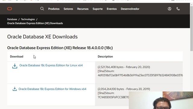 Instalando o SQL DEVELOPER + ORACLE XE 18 смотреть онлайн