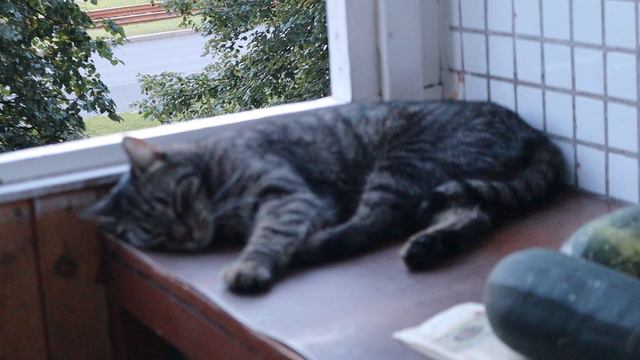 Понедельник, 29 июля 2024 г