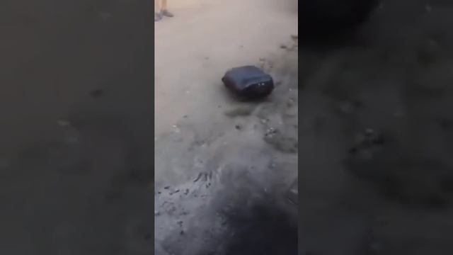 отдых у мангала в гараже смотреть онлайн